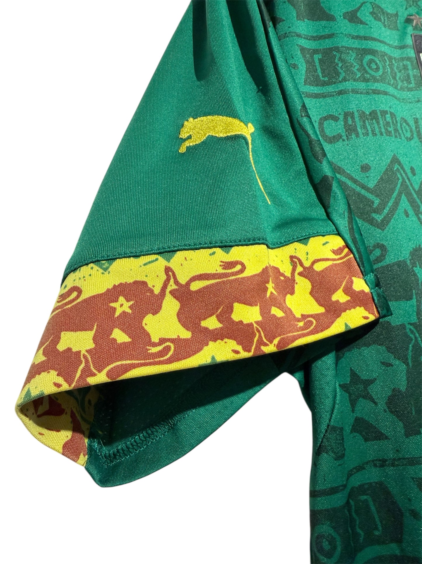 Cameroon 2014 Home - M